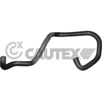 Durite de radiateur CAUTEX 036417