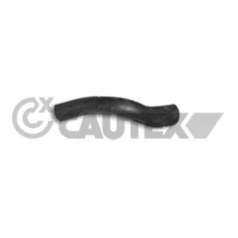 Durite de radiateur CAUTEX 036427