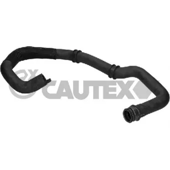 Durite de radiateur CAUTEX 036443