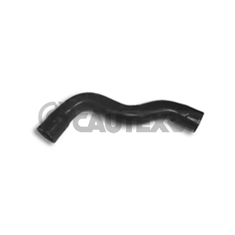 Durite de radiateur CAUTEX 036446