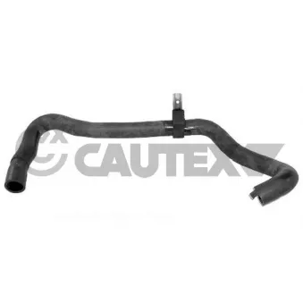 Durite de radiateur CAUTEX 036447