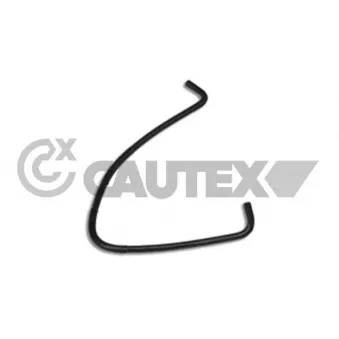 Durite de radiateur CAUTEX 036464