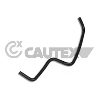Durite de radiateur CAUTEX 036467