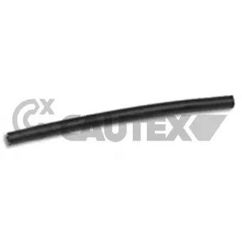 Durite de radiateur CAUTEX 036476