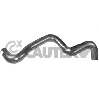 Durite de radiateur CAUTEX 036701