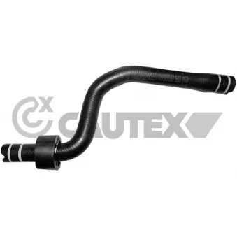 Durite de radiateur CAUTEX 036737