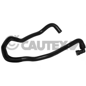 Durite de radiateur CAUTEX 036748