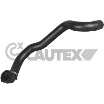 Durite de radiateur CAUTEX 036749