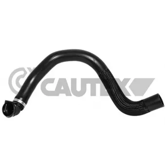 Durite de radiateur CAUTEX 036751