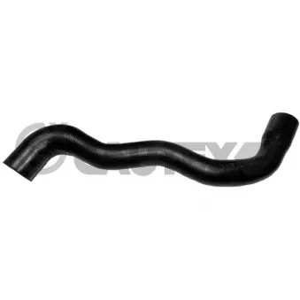 Durite de radiateur CAUTEX 036760