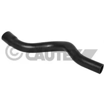 Durite de radiateur CAUTEX 036761