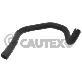 Durite de radiateur CAUTEX 036764