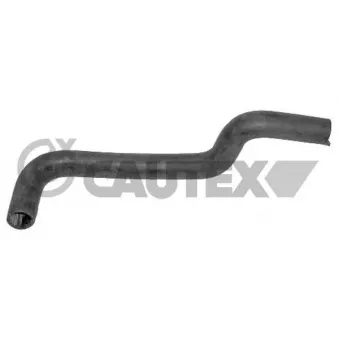 Durite de radiateur CAUTEX 036772