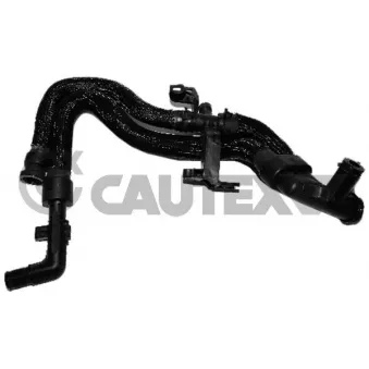 Durite de radiateur CAUTEX 036776