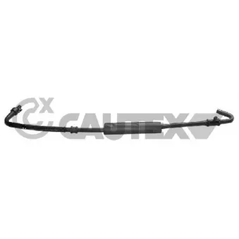 Durite de radiateur CAUTEX 036777