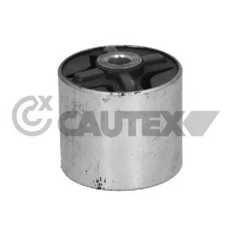Suspension, corps de l'essieu CAUTEX 061012