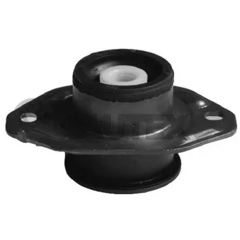 Support moteur CAUTEX 061013