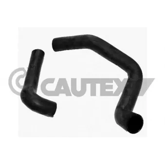 Durite de radiateur CAUTEX 066184