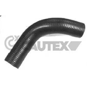 Durite de radiateur CAUTEX 066489