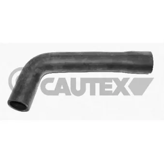 Durite de radiateur CAUTEX