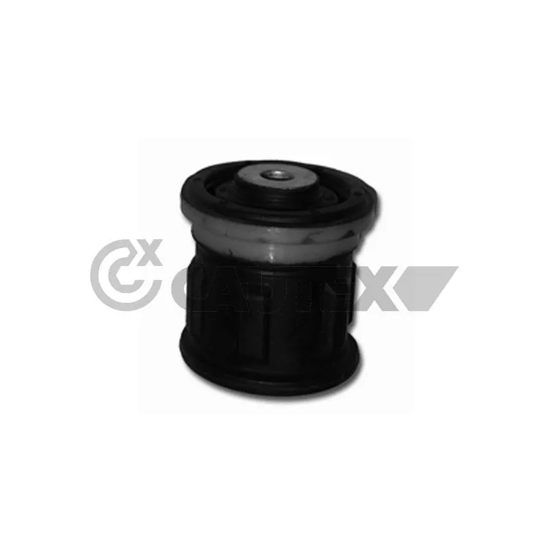 Suspension, corps de l'essieu CAUTEX 080168
