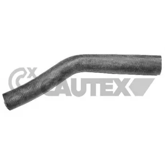 Durite de radiateur CAUTEX 081050