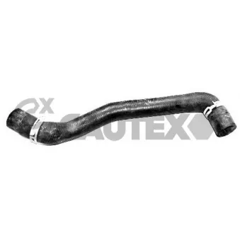 Durite de radiateur CAUTEX 081051