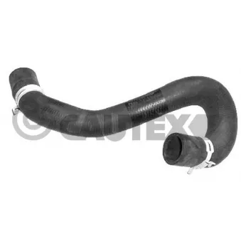 Durite de radiateur CAUTEX 081052
