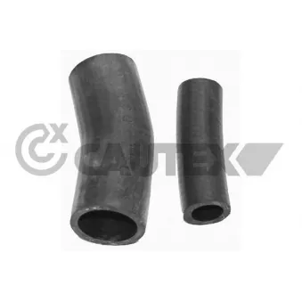 Durite de radiateur CAUTEX 081123
