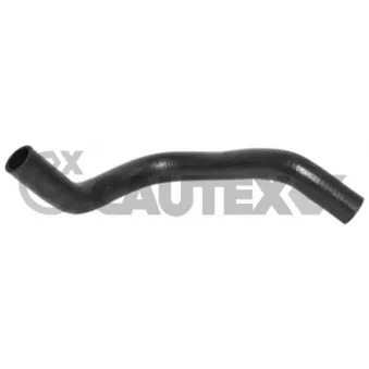 Durite de radiateur CAUTEX 086019