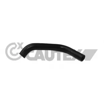 Durite de radiateur CAUTEX 086024