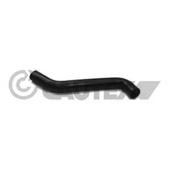 Durite de radiateur CAUTEX 086105