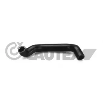 Durite de radiateur CAUTEX 086256