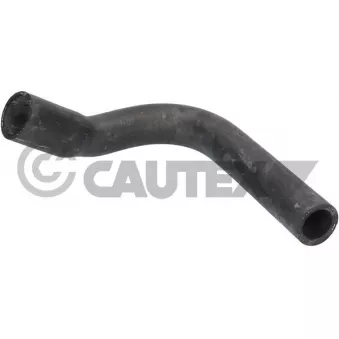 Durite de radiateur CAUTEX 086264