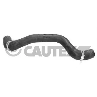 Durite de radiateur CAUTEX 086398