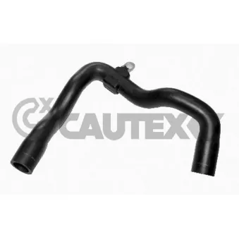 Durite de radiateur CAUTEX 086774