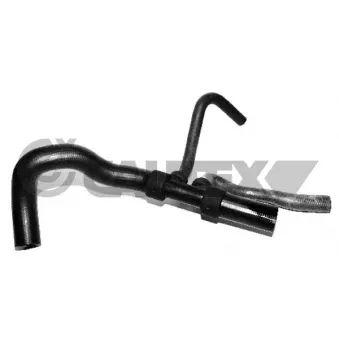 Durite de radiateur CAUTEX 086809