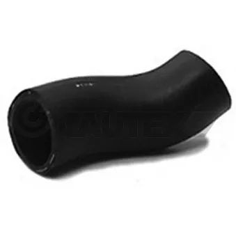 Durite de radiateur CAUTEX 186006