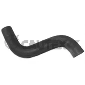 Durite de radiateur CAUTEX 186031
