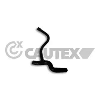 Durite de radiateur CAUTEX 186034