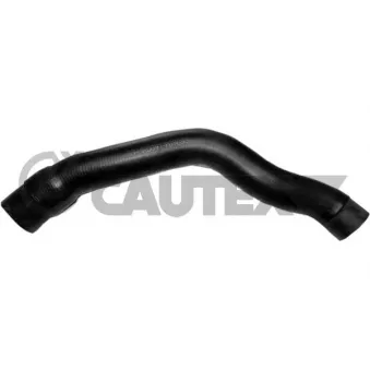 Durite de radiateur CAUTEX 186047