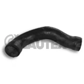 Durite de radiateur CAUTEX 206013