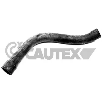 Durite de radiateur CAUTEX 206016