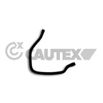Durite de radiateur CAUTEX 206017