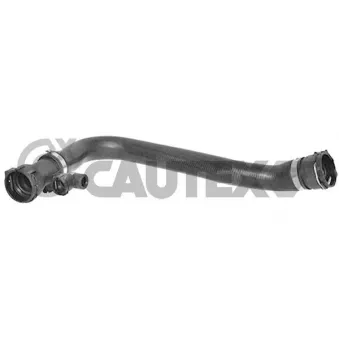 Durite de radiateur CAUTEX 206019