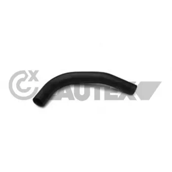 Durite de radiateur CAUTEX 216001