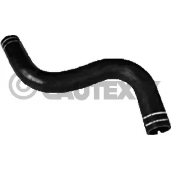 Durite de radiateur CAUTEX 216012