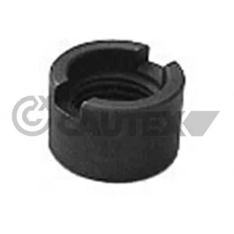 Douille filetée, jambe de suspension CAUTEX 460109