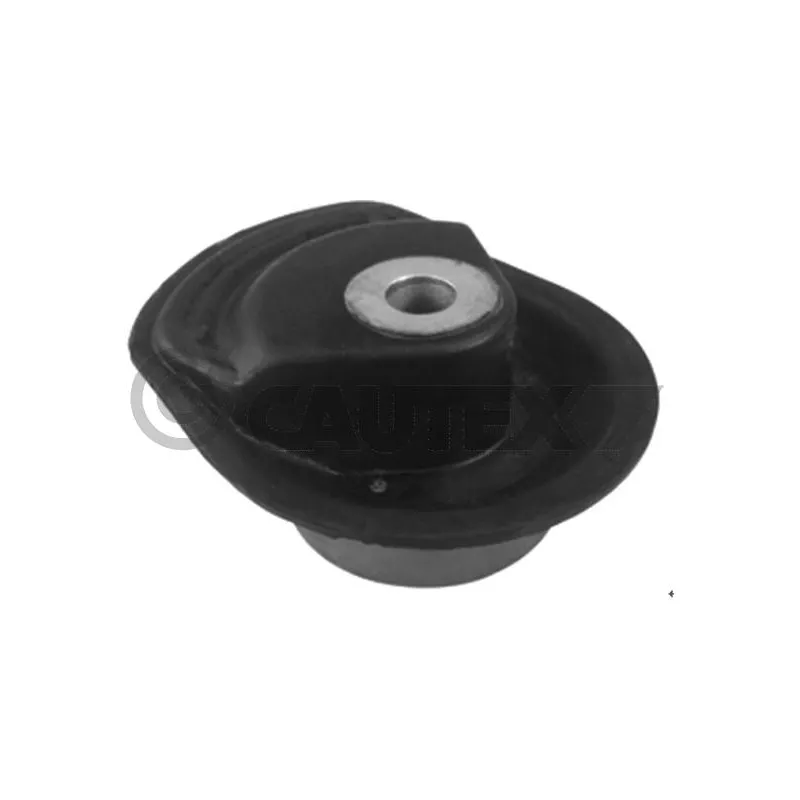 Suspension, corps de l'essieu CAUTEX 460112