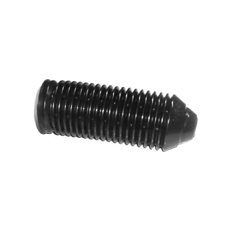 Bouchon de protection/soufflet, amortisseur CAUTEX 460184